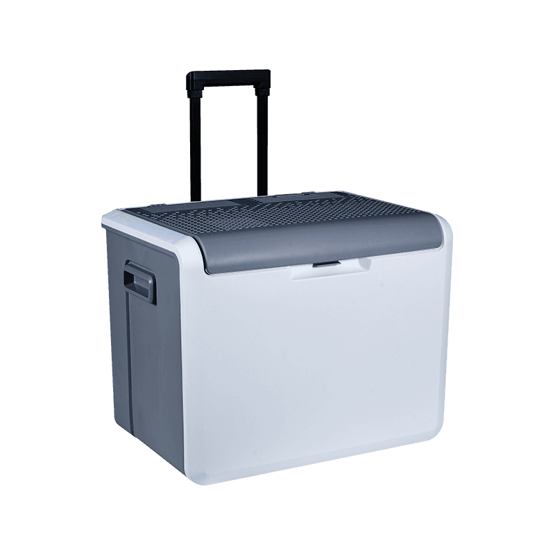 XW-25 Dual Voltage Car at Home Dual-Purpose Thermoelectric Cooler